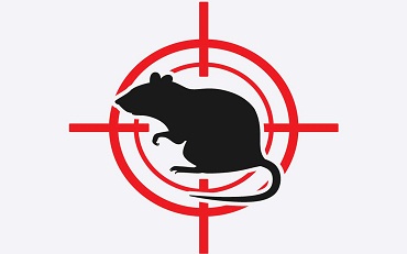 Rat Guards